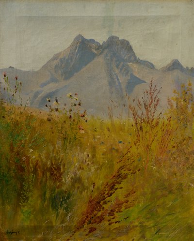 Lomnitzer Spitze von Laszlo Mednyanszky